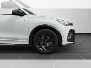 Volkswagen Tiguan R-Line 2,0 l TDI DSG 🚨Bitte Beschreibung lesen🚨
