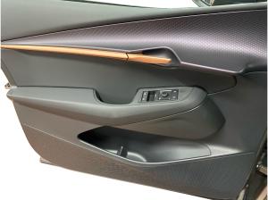 Cupra Tavascan Endurance LED/Assist/Kamera/uvm.