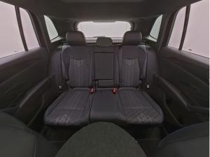 Volkswagen Tiguan 2.0 TSI DSG 4Mo. - R-Line BLACK-STYLE