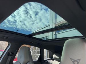 Cupra Terramar VZ Tribe Edition 1.5 e-HYBRID 6-Gang-DSG