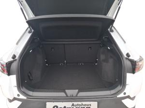 Volkswagen ID.4 Pure Matrix AHK RFK ACC Anschlussgarantie