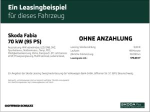 Skoda Fabia Selection AHK Chrom-Paket Klimaanlage