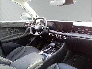 MG HS HEV Luxury Privat VFW**Schwerbehinderung**