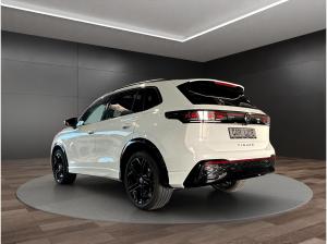 Volkswagen Tiguan 2.0 TSI *R-Line*AHK*H&K*Matrix*Massage*