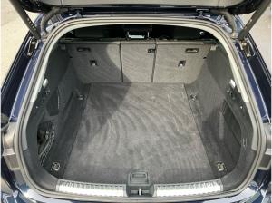 Audi A5 Avant TFSI S-tronic/ MMI-Navi+, ParkAssi, AHK