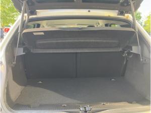 Renault Twingo Electric Automatik Techno *Kamera*SHZ*