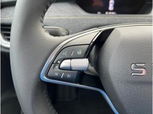 Skoda Elroq 85  AHK,NAVI,PLUS Paket, WINTER