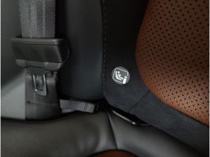 Subaru Forester 2.0ie e-BOXER Platinum AWD NAVI 360°