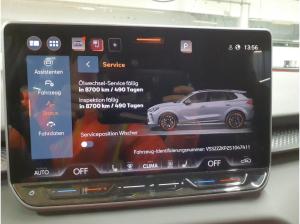 Cupra Terramar 1.5 eTSI 5JGar connect el.Heck Spur ACC Memory