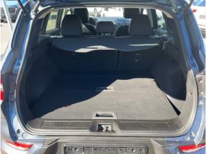 Renault Kadjar TCe 140 Business Automatik Automatik Navi