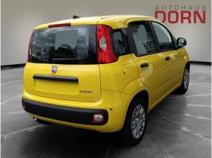 Fiat Panda ICON Hybrid 1.0 GSE 48kw
