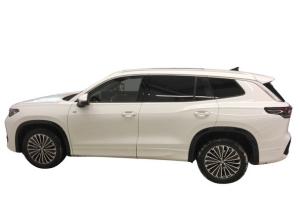 Volkswagen Tayron R-Line 2.0TDI DSG 4Motion +AHK+STDHZ+