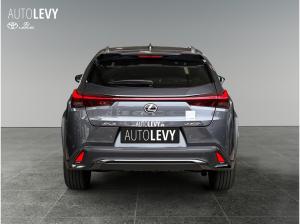 Lexus UX-300h UX 300h Neues Modell F Sport Design *Leasingaktion*INKL.Wechsel*