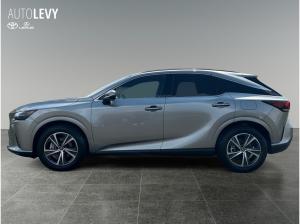 Lexus RX 450 RX 450h Plug-In Business *Förderung 4.500  inkl.*