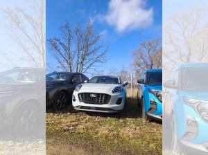 Ford Puma Titanium❗INKL. TECHNIK-SERVICE❗AKTION❗