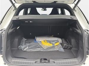 Abarth 600e COMPETIZIONE förderfähig(!!!) SOUND-GENERATOR