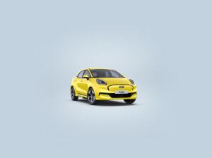 Ford Puma 1.0 EcoBoost MH Titanium AHK Kamera SHZ