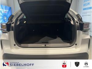 Citroën E-C4 Team D Elektromotor 156 Extended Range *Family Pro Edition*