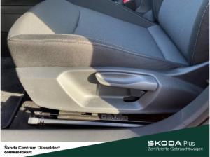 Skoda Fabia Selection AHK Chrom-Paket Klimaanlage