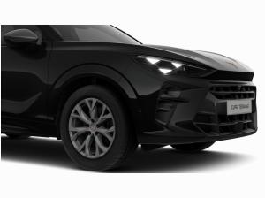 Cupra Terramar Terramar 2.0 TSI DSG 4Drive PANO MATRIX-LED 360° *202*