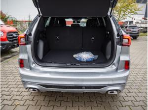 Ford Kuga ST-Line Plug in 0.5 % Versteuerung möglich