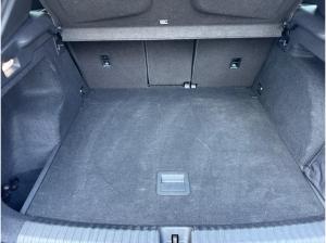 Cupra Terramar 1.5 TSI DSG Voll LED,Navi,Head up,Full Link