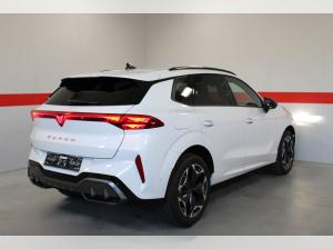 Cupra Terramar | SONDERAKTION | nur Gewerbe -14358