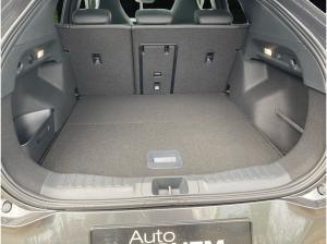 Ford Capri Lagerneuwagen im Sonderleasing GEWERBE