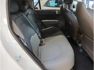 Kia EV3 81.4 EARTH WIC BUS UPG DWP