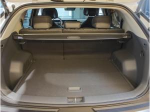 Kia EV3 81.4 EARTH WIC BUS UPG DWP