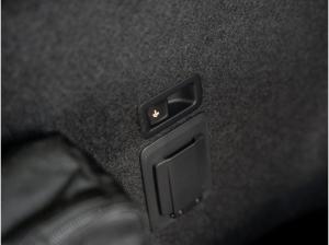 Cupra Leon Sportstourer VZ Tribe Edition 2.0 TSI 245 kW (333 PS) 7-Gang-DSG 4Drive