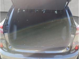 Ford Kuga ST-LINE X 2.5 Duratec PHEV , 5-türig