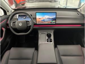 Leapmotor C10 ⚡IRMSCHER 71/250⚡