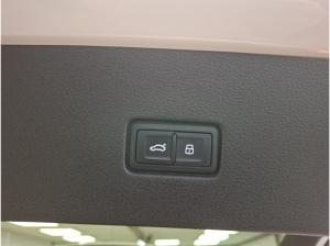 Audi Q8 50 TDI quattro AHK/Optik Schw/Pano/LuftFW