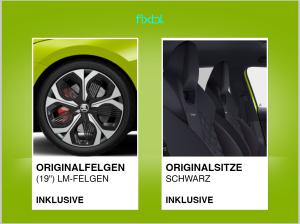 Skoda Octavia RS 2.0 TSI DSG *Lagerfahrzeug*