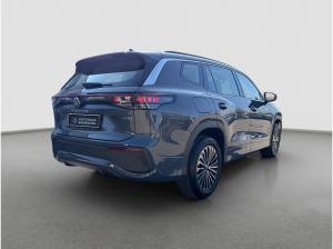 Volkswagen Tayron Life 1.5 eTSI IQ.Light Virtual AHK Kamera