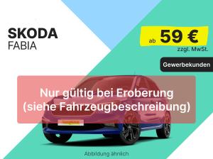 Skoda Fabia 1.0l MPI Selection | EROBERUNG | Gewerbe