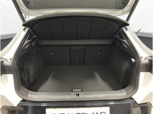 Cupra Formentor 2.0 TSI DSG 4Drive VZ | AHK | HD-Matrix