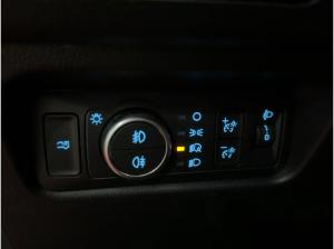 Ford Ranger DoKa 2.0l Ecoblue Wildtrak 151 kW