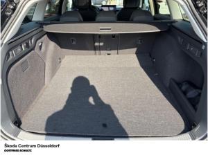 Skoda Superb Combi Selection 1.5 TSI iV (Düsseldorf)