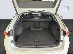Skoda Octavia Balance Combi 2.0 TDI 110 kW -Sofort Verfügbar-