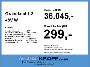 Opel Grandland 1.2 48V W GS Navi+SHZ+HUD+360Kam