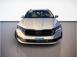 Skoda Octavia Combi Tour 2.0TDI LightA.DSG.NAV.AHK.AMBIENTE.KAM.SignA.SMARTLINK.DAB