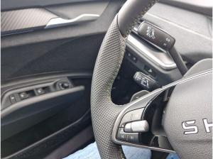 Skoda Elroq RS SONDEREDITION Matrix Navi AHK 4xSitzhzg PLA Klimaauto