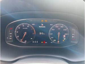 Cupra Ateca Tribe Edition *Business*Kamera*Assist*