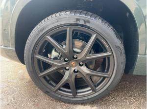 Cupra Ateca Tribe Edition *Business*Kamera*Assist*