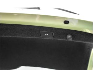 Skoda Octavia RS 2.0 TSI DSG "Sonderlack Pistachio-Grün"