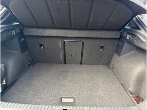 Cupra Formentor 1.5TSI ohne weitere Nebenkosten
