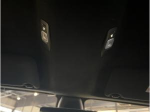 Alpine A110 GT 300 Kamera Navi Sitzheizung Allwetter