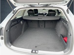 Volkswagen Passat Business /AHK /GANZJAHRESREIFEN